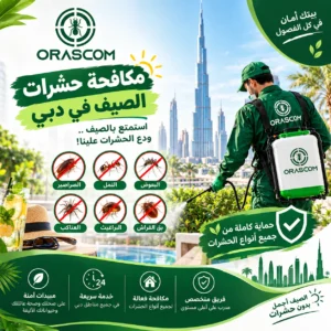 مكافحة حشرات الصيف في دبي