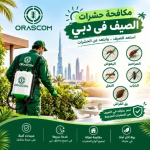 مكافحة حشرات الصيف في دبي