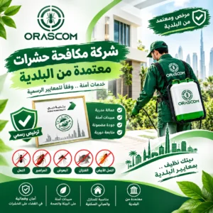 شركة مكافحة حشرات معتمده من البلديه: دليلك لاختيار الشركة المناسبة شركة مكافحة حشرات معتمده من البلديه