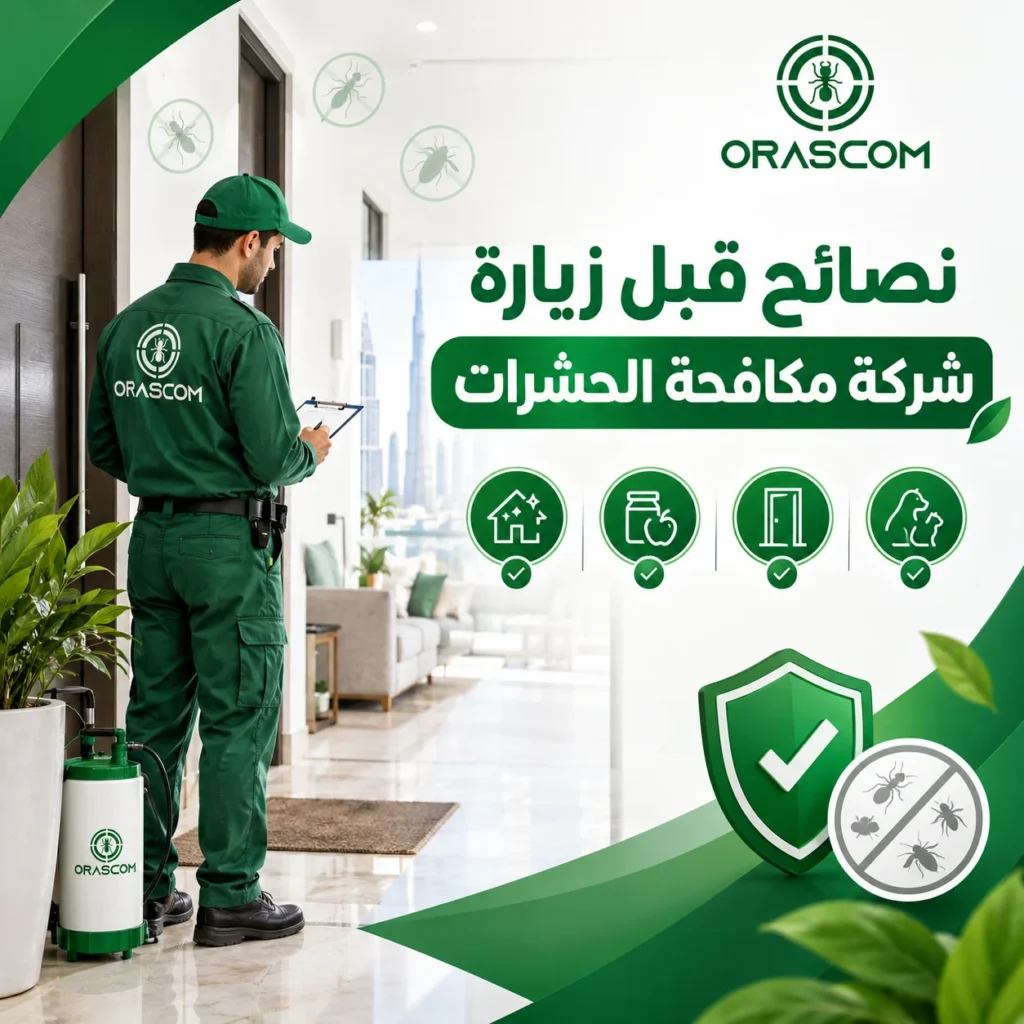 نصائح قبل زيارة شركة مكافحة الحشرات