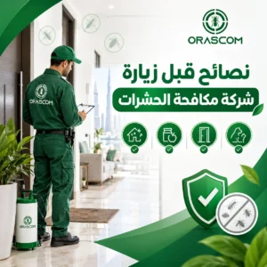 نصائح قبل زيارة شركة مكافحة الحشرات: دليل تجهيز المنازل والمنشآت